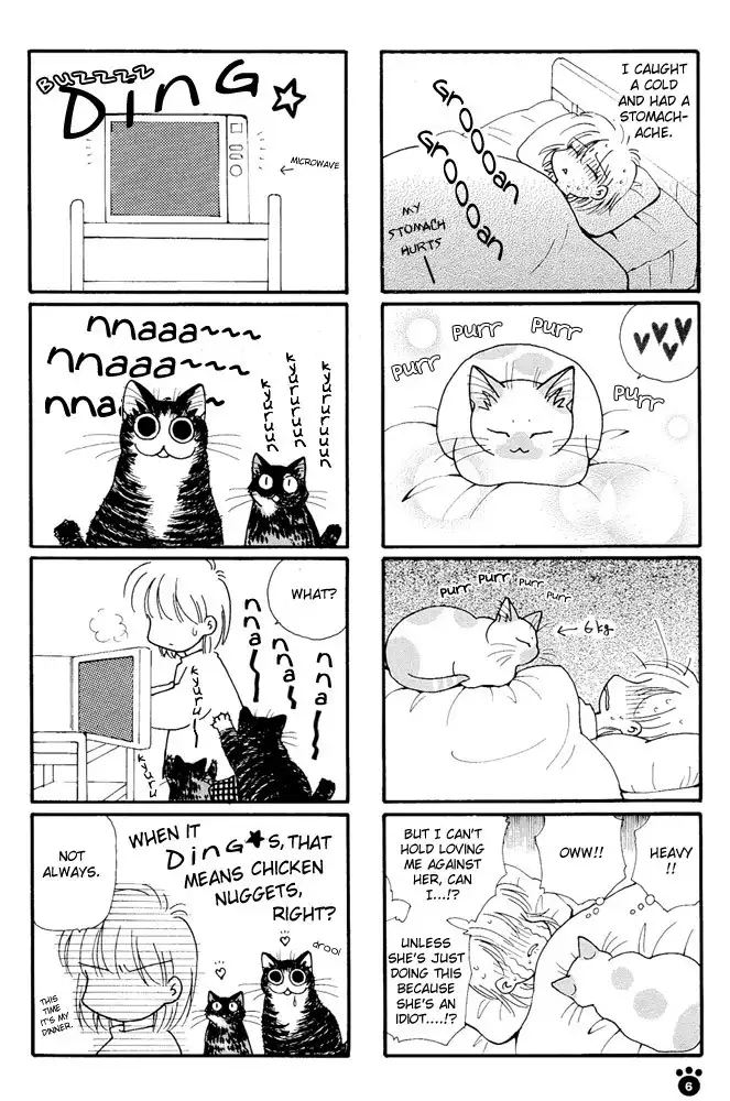 Honjitsu no Neko Jijou Chapter 1 12